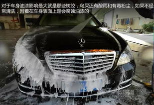 汽车树胶多少钱
